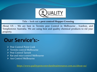 Rat and mice control services in Melbourne