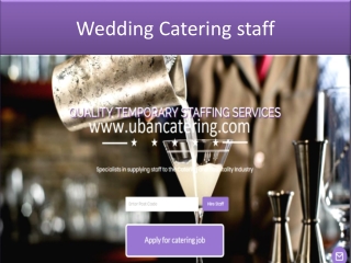 Wedding catering Staff