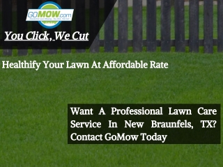 Want A Professional Lawn Care Service In New Braunfels, TX? Contact GoMow Today