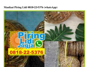 Manfaat Piring Lidi 0818 22 5376[wa]