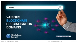 Various Blockchain Specialization Domains