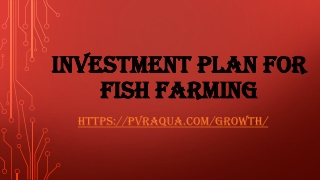 Investment plan for fish farming