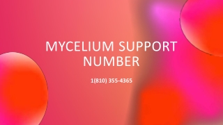 Mycelium Support Number【 ★1(810) 355-4365★ 】