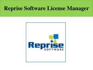 Reprise Software License Manager
