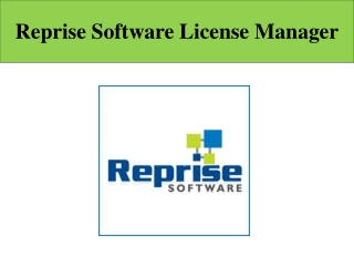 reprise license manager