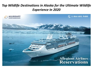 Top Wildlife Destinations in Alaska for the Ultimate Wildlife Experience In 2020