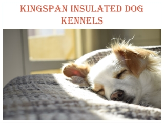 KINGSPAN INSULATED DOG KENNELS