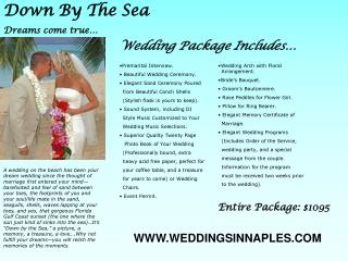 Premarital Interview. • Beautiful Wedding Ceremony. • Elegant Sand Ceremony Poured from Beautiful Conch Shells (Styl