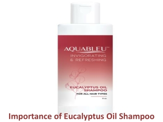 Importance of Eucalyptus Oil Shampoo