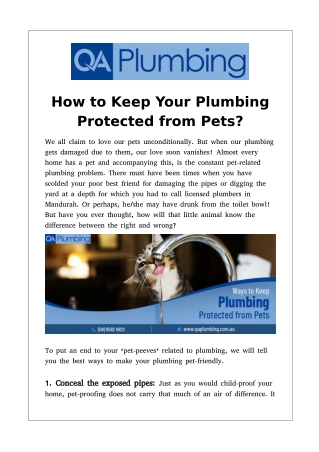 How to Keep Your Plumbing Protected from Pets?