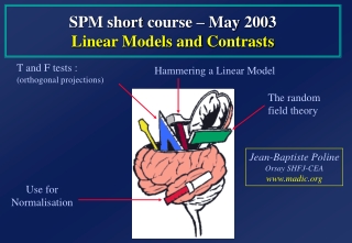 SPM short course – May 200 3 Linear Models and Contrasts