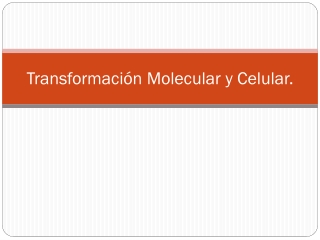 Transformación Molecular y Celular.