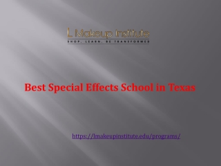 Best Special Effects School in Texas