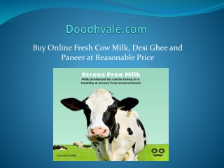 Order Online Fresh Buffalo and Cow Milk at Fair Cost