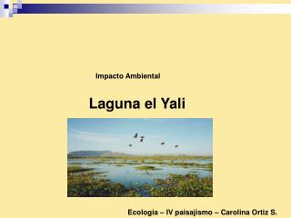 Laguna el Yali