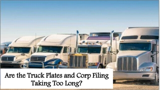 Are the Truck Plates and Corp Filing Taking Too Long?