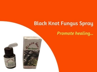 Black knot fungus spray-From Black Knot Be Gone