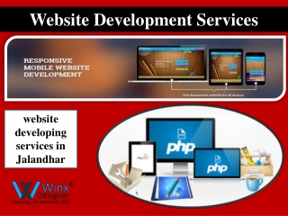 Web Development Services in Jalandhar | Wordpress | CMS