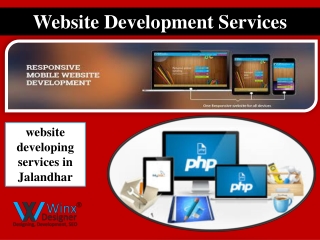 Web Development Services