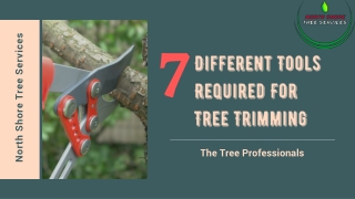 7 Different Tools Required For Tree Trimming