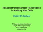 Nanoelectromechanical Transduction in Auditory Hair Cells