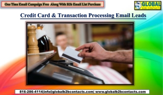 Credit Card & Transaction Processing Email Leads