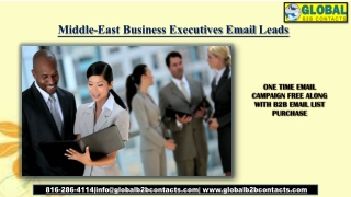 Middle-East Business Executives Email Leads