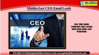 Middle-East CEO Email Leads