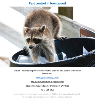 Pest control in brentwood