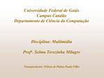 Universidade Federal de Goi s Campus Catal o Departamento de Ci ncia da Computa o Disciplina: Multim dia Profa. Sel