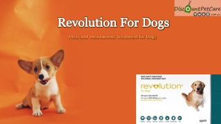 Buy Revolution for Dogs - Monthly Heartworm and Flea Treatment