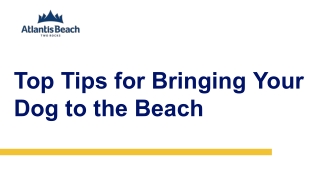 Top Tips for Bringing Your Dog to the Beach