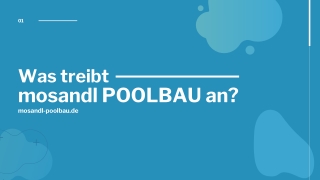 Was treibt mosandl POOLBAU an?