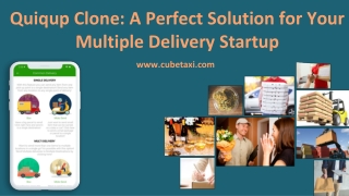 Quiqup Clone App: A Perfect Solution For Multiple Delivery Business