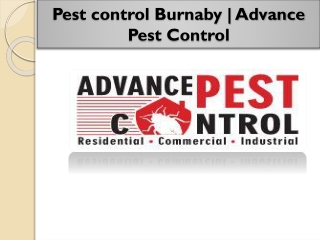 Pest control richmond