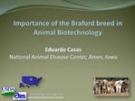 Importance of the Braford breed in Animal Biotechnology