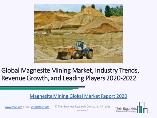 Magnesite Mining Global Market Report 2020