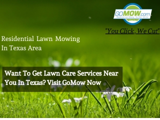 Want To Get Lawn Care Services Near You In Texas? Visit GoMow Now