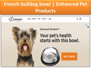 English bulldog bowl