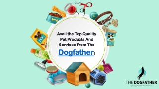 Avail the Top Quality Pet Products And Services From The Dogfather!