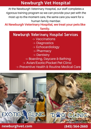 Newburgh Vet Hospital Services