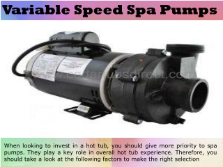 Variable Speed Spa Pumps