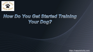 How Do You Get Started Training Your Dog