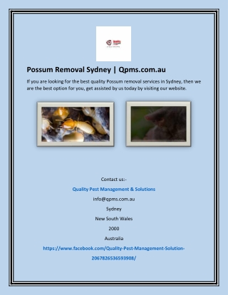 Possum Removal Sydney