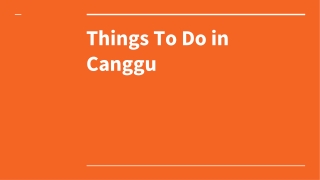 Things to do in Canggu | Shoes On Loose