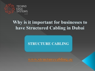 Why is it important for businesses to have Structured Cabling in Dubai