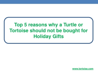 Top 5 reasons why a Turtle or Tortoise should not be bought for Holiday Gifts