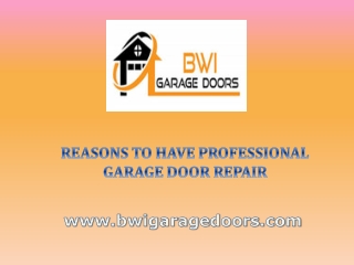 Reasons to have professional garage door repair