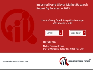 Global Industrial Hand Gloves market