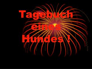 Tagebuch eines Hundes !